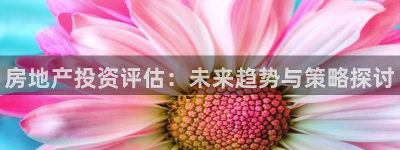 和记怡情博娱官网：房地产投资评估：未来趋势与策略探讨