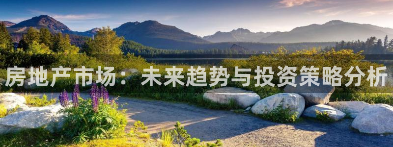 和记娱乐怡情博娱官网：房地产市场：未来趋势与投资策略分析