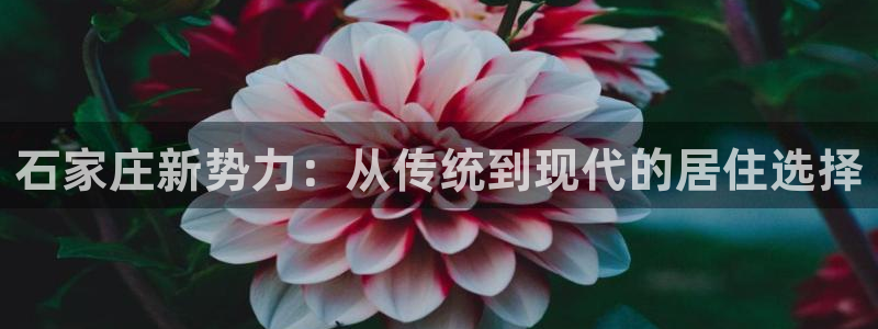 和记港口信托官网：石家庄新势力：从传统到现代的居住选择