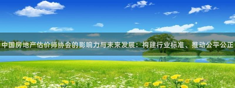 和记官网注册：中国房地产估价师协会的影响力与未来发展：构建行