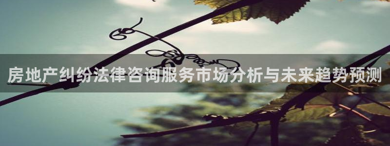 和记hgc官网：房地产纠纷法律咨询服务市场分析与未来趋势预测