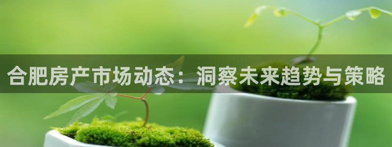 和记娱实惠h88285官网：合肥房产市场动态：洞察未来趋势与