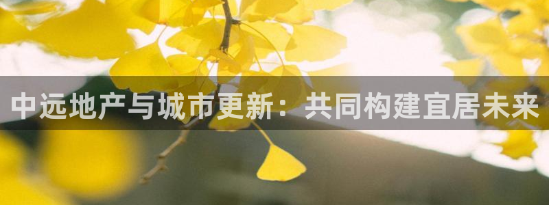 和记火爆官网：中远地产与城市更新：共同构建宜居未来