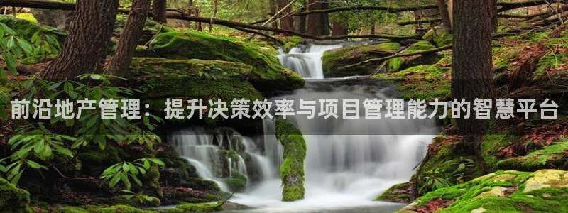 武汉和记黄埔官网：前沿地产管理：提升决策效率与项目管理能力的