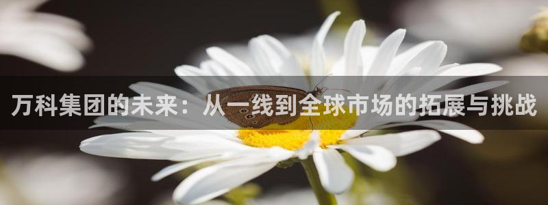 和记官网客服app：万科集团的未来：从一线到全球市场的拓展与
