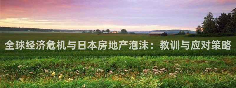 和记手游官网：全球经济危机与日本房地产泡沫：教训与应对策略