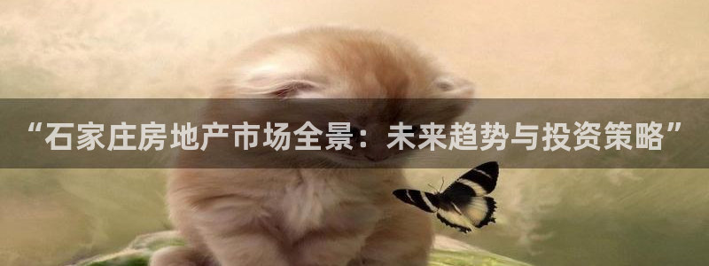 澳门和记平台官网