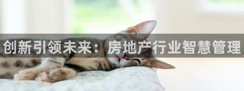 和记电讯澳门官网：创新引领未来：房地产行业智慧管理