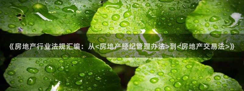 和记app官网