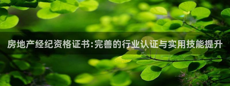 和记电讯澳门官网
