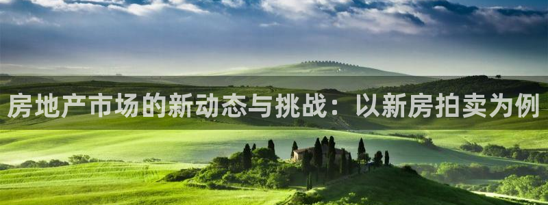和记官网手机：房地产市场的新动态与挑战：以新房拍卖为例