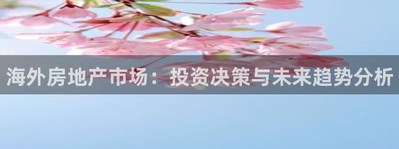 成都和记黄埔官网：海外房地产市场：投资决策与未来趋势分析