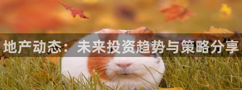 广州和记黄埔官网：地产动态：未来投资趋势与策略分享