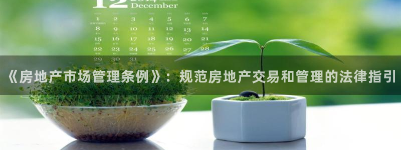 和记官网ap：《房地产市场管理条例》：规范房地产交易和管理的