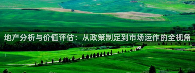 和记备用网官网开户：地产分析与价值评估：从政策制定到市场运作