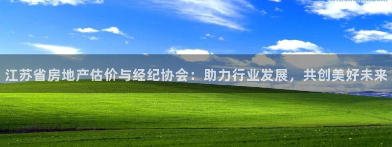 和记娱乐在线官网：江苏省房地产估价与经纪协会：助力行业发展，