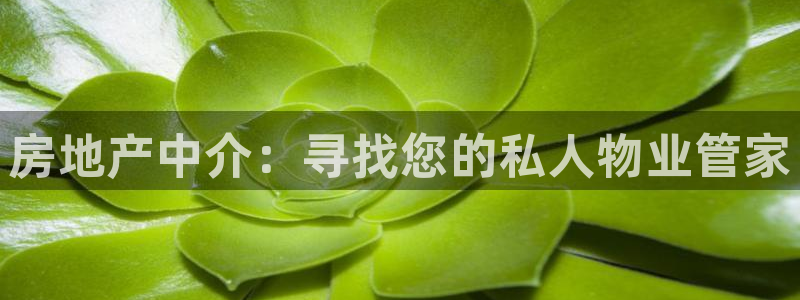 和记官网充值：房地产中介：寻找您的私人物业管家