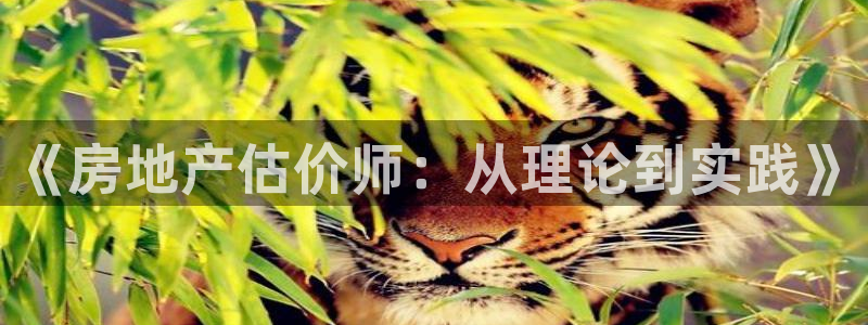 和记官网入口