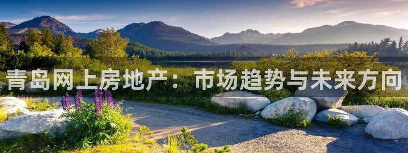 和记黄埔药业官网：青岛网上房地产：市场趋势与未来方向