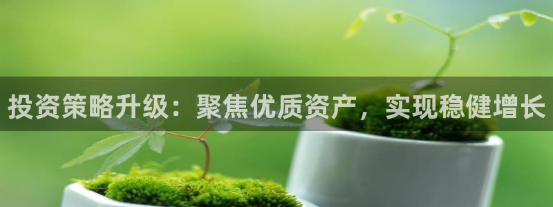 和记电讯APP官网充值：投资策略升级：聚焦优质资产，实现稳健