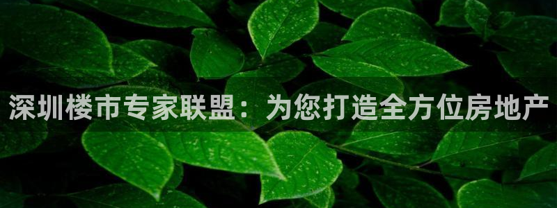 香港和记隆官网：深圳楼市专家联盟：为您打造全方位房地产