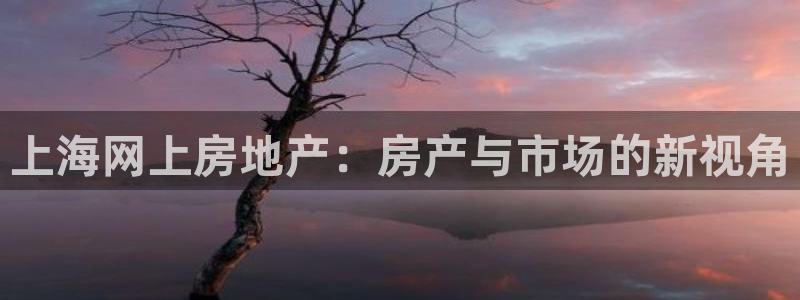 白云 和记黄埔官网：上海网上房地产：房产与市场的新视角