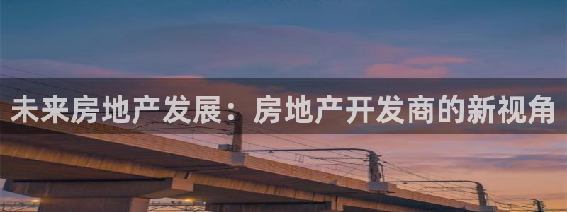 和记娱哪个位置h88285官网：未来房地产发展：房地产开发商