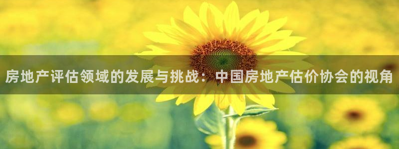 和记官网官网入口