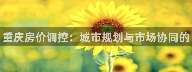 和记3hk官网：重庆房价调控：城市规划与市场协同的
