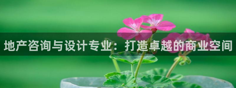 和记黄埔集团官网：地产咨询与设计专业：打造卓越的商业空间