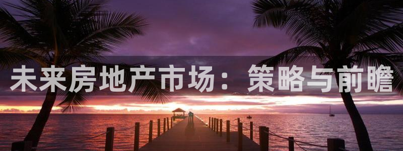香港和记3电讯官网：未来房地产市场：策略与前瞻