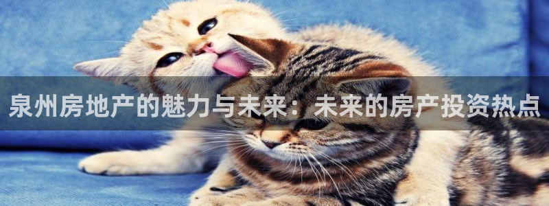 和记娱乐网官网：泉州房地产的魅力与未来：未来的房产投资热点