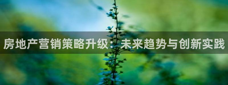 和记怡情h88官网中文版：房地产营销策略升级：未来趋势与创新