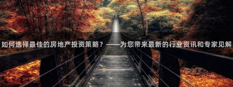 和记娱乐首页官网：如何选择最佳的房地产投资策略？——为您带来
