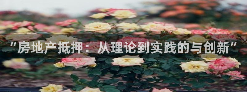 长江和记集团官网：“房地产抵押：从理论到实践的与创新”