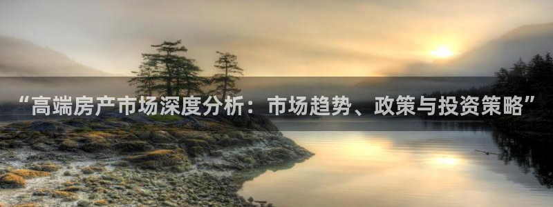 和记万佳官网：“高端房产市场深度分析：市场趋势、政策与投资策