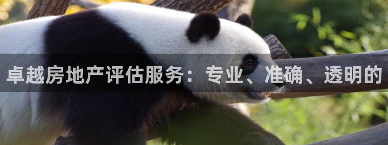 香港和记官网：卓越房地产评估服务：专业、准确、透明的
