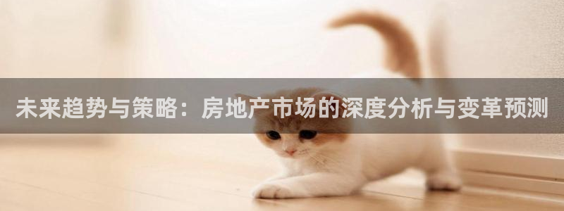 香港和记电讯公司官网：未来趋势与策略：房地产市场的深度分析与