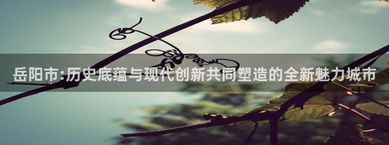 和记官网怡情娱乐：岳阳市:历史底蕴与现代创新共同塑造的全新魅
