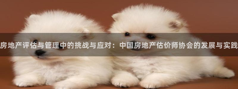 和记娱乐app官网：房地产评估与管理中的挑战与应对：中国房地