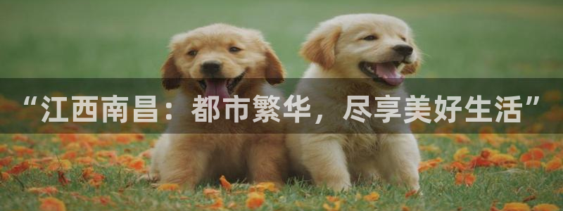 和记娱精湛h88285官网：“江西南昌：都市繁华，尽享美好生
