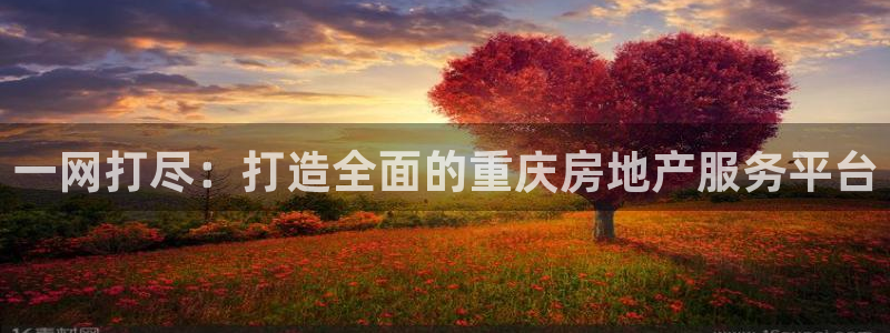 毛记和意冒菜官网加盟：一网打尽：打造全面的重庆房地产服务平台