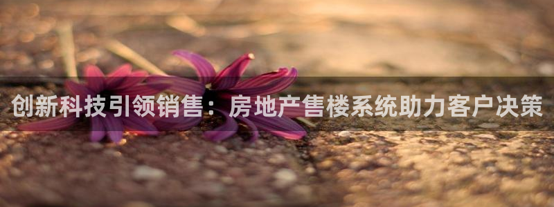 和记万佳官网：创新科技引领销售：房地产售楼系统助力客户决策