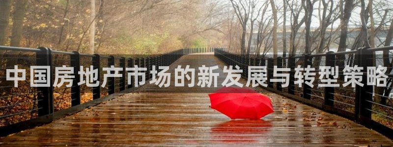 和记娱乐h8官网：中国房地产市场的新发展与转型策略