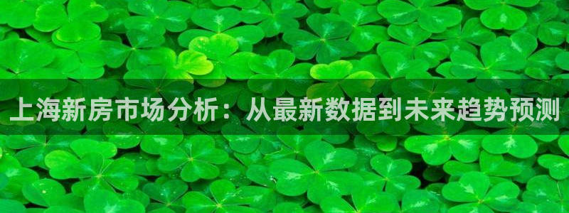 和记娱要多少钱h88285官网：上海新房市场分析：从最新数据