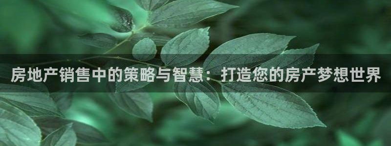 澳门和记客服官网：房地产销售中的策略与智慧：打造您的房产梦想