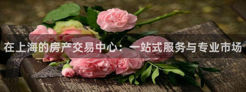 和记官网手机新版app下载：在上海的房产交易中心：一站式服务