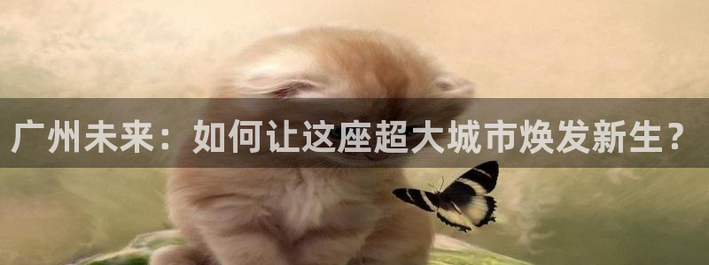 和元李记官网：广州未来：如何让这座超大城市焕发新生？