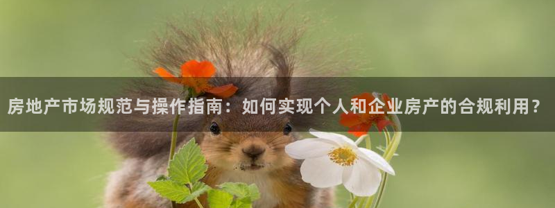 和记黄埔官网攻略：房地产市场规范与操作指南：如何实现个人和企
