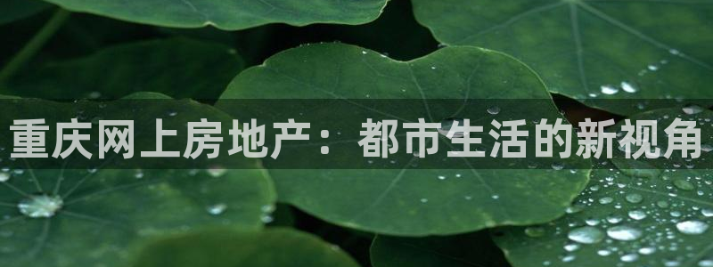 和记电官网：重庆网上房地产：都市生活的新视角